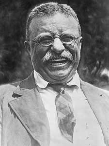 Link to Theodore Roosevelt quotes