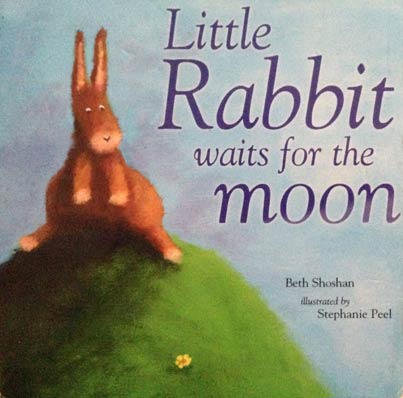 Little Rabbit waits for the moon book cover.