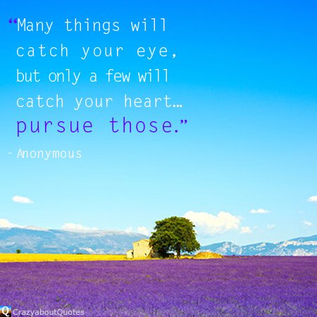 Lavender flowers blooming in Provence, France with quote of the day about passion.