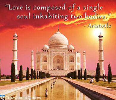 Taj Mahal with love quote from Aristotle.
