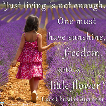 Girl in lavender field with quote about life, freedom and flowers.